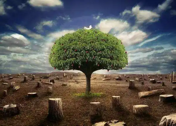 1665305102485355.png